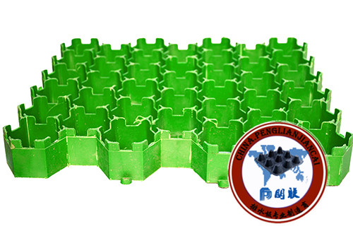 塑料植草格http://www.dvyw.cn/